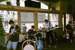 GRAPHIC IMAGE 'Insect Surfers at Sangria, Hermosa Beach, 10/21/2000'