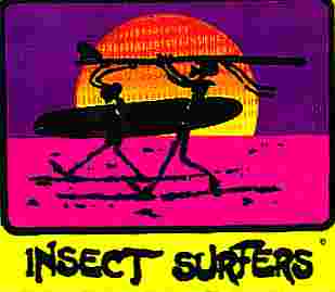 GRAPHIC IMAGE 'endless summer parody'